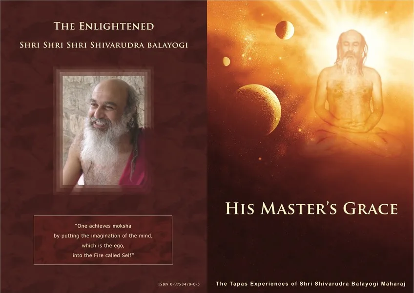His Master's Grace - Image 2